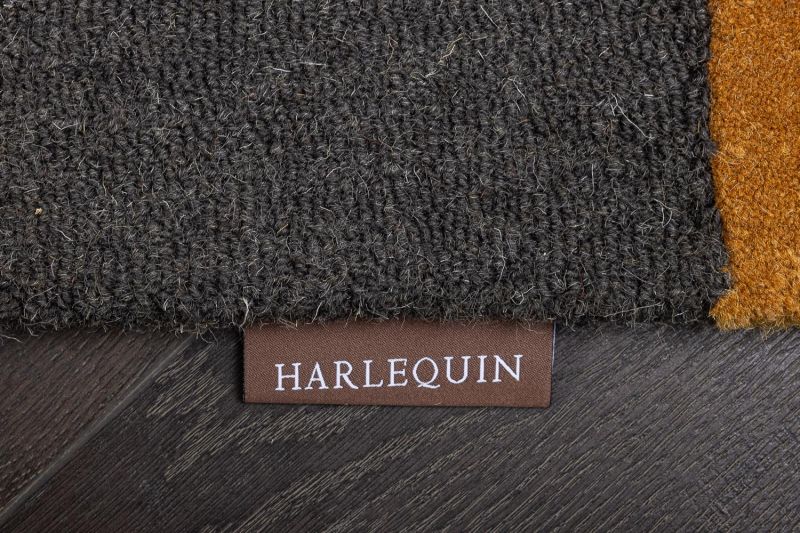 Ковёр Carpet HARLEQUIN BD-2977735 200х280 фото 8