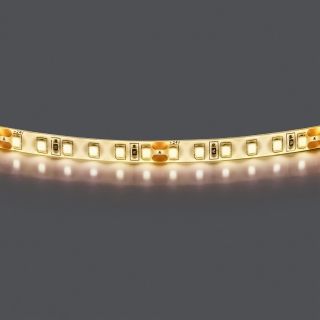 Лента белого свечения Lightstar LED 24V 420854