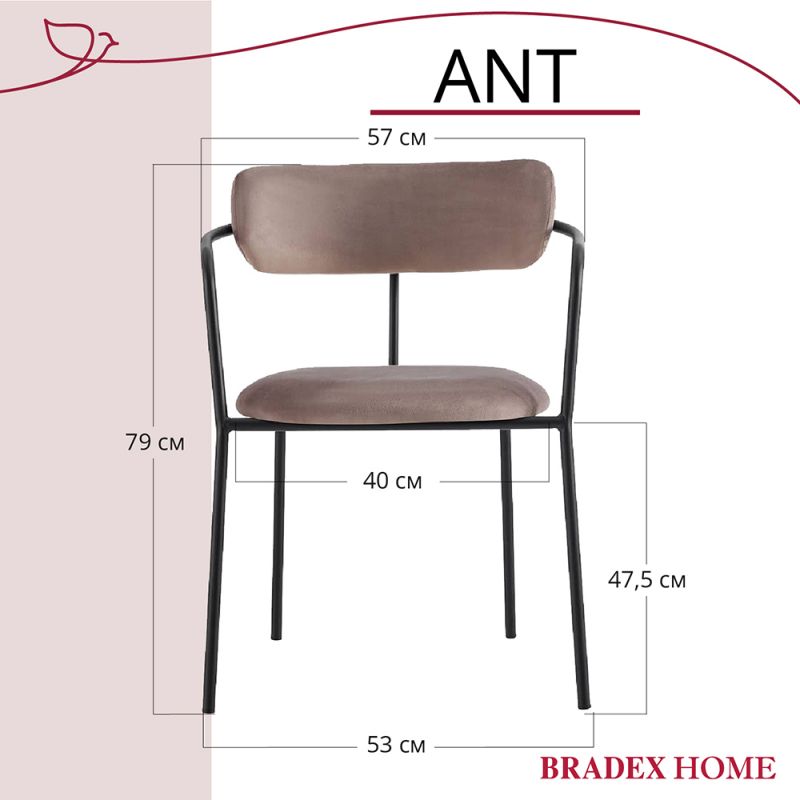 Комплект из 2-х стульев BRADEX Home Ant латте BD-3073032 фото 5