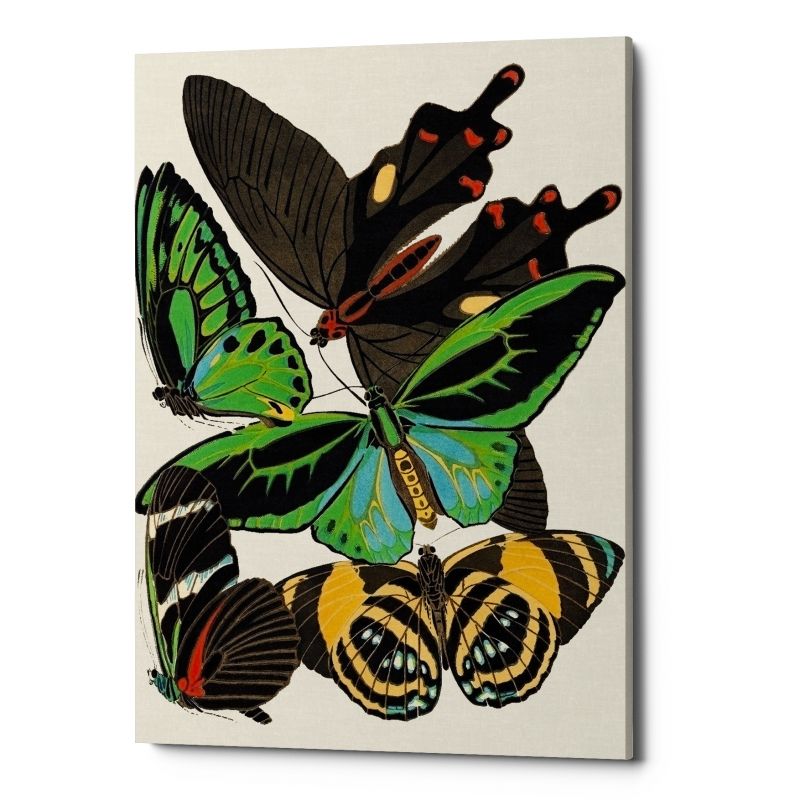 Картина «Бабочки мира», версия 2 (холст, галерейная натяжка) ByObject  BD-1945840