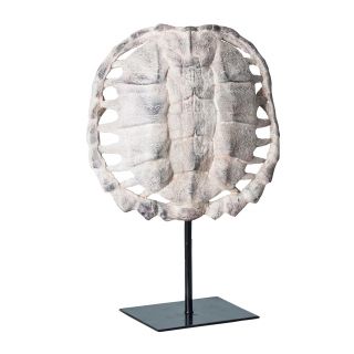 Скульптура в виде панциря черепахи Vical TORTUGA серая 171241