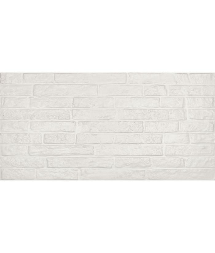 Elite white matt 60x120