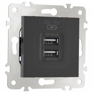 Розетка USB 2.1А+1А 203.46-1.black Arte Milano