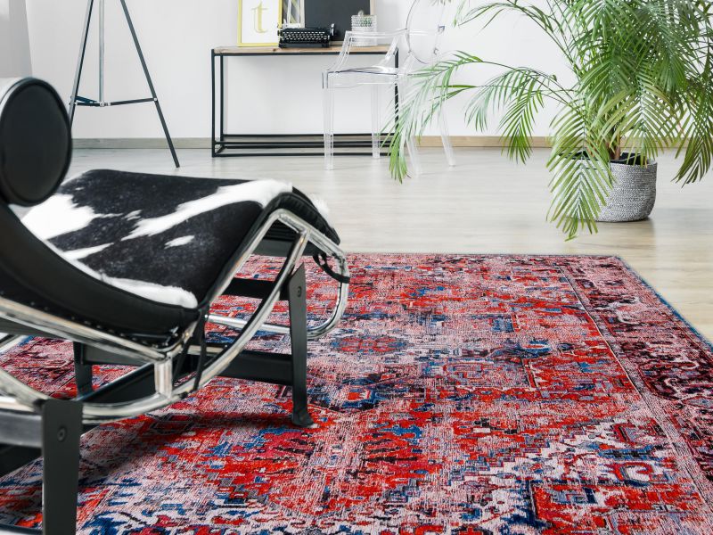 Ковёр Carpet ANTIQUARIAN BD-2976387 230х330 фото 3