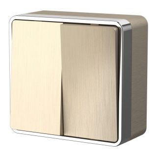 Выключатель двухклавишный Gallant (шампань рифленый) Werkel W5020010