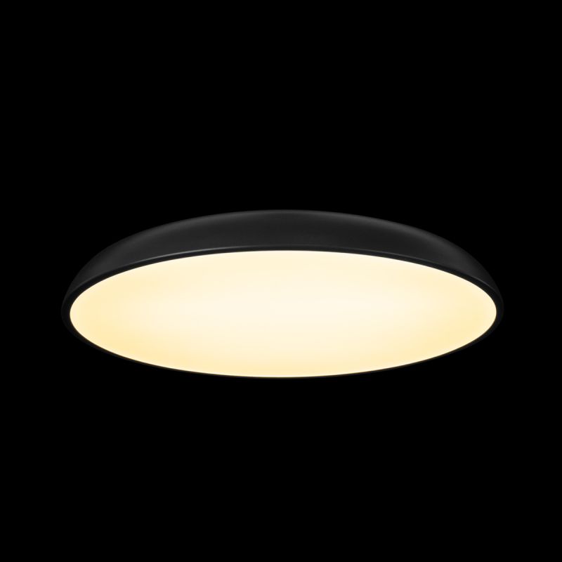 Потолочный светильник LOFT IT Dime LED 4000К(белый) 36W 10371 Black фото 4