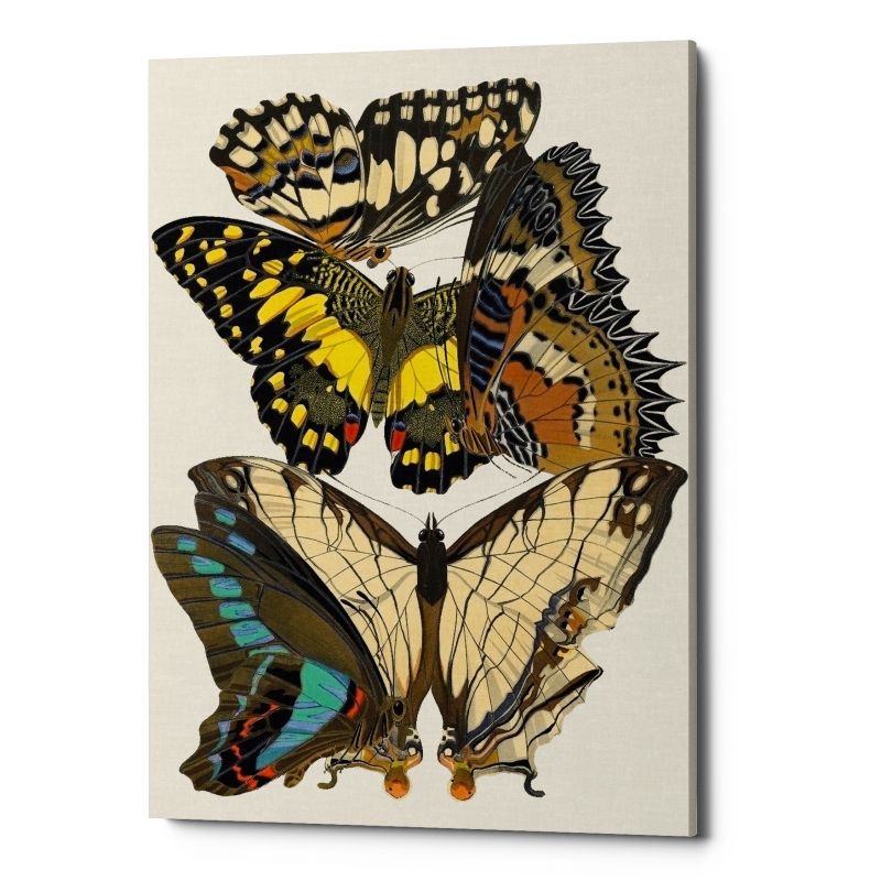 Картина «Бабочки мира», версия 4 (холст, галерейная натяжка) ByObject  BD-1945836