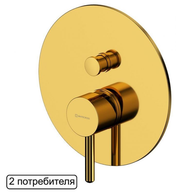 Смеситель для душа Whitecross Y Y1235GL, золото