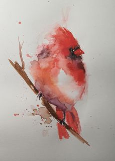 Картина "Красный кардинал" Анастасия Лебедева