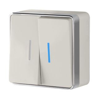 Выключатель двухклавишный с подсветкой Gallant (слоновая кость) Werkel W5020103