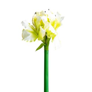 Цветок Vical AMARYLLIS цвет белый 170963