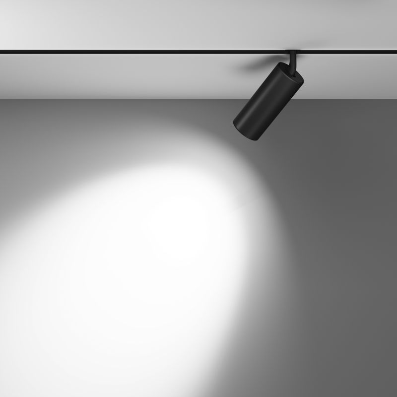 Трековый светильник Maytoni Focus LED 48V 20W IP20 3000K TR032-2-20W3K-M-B фото 4
