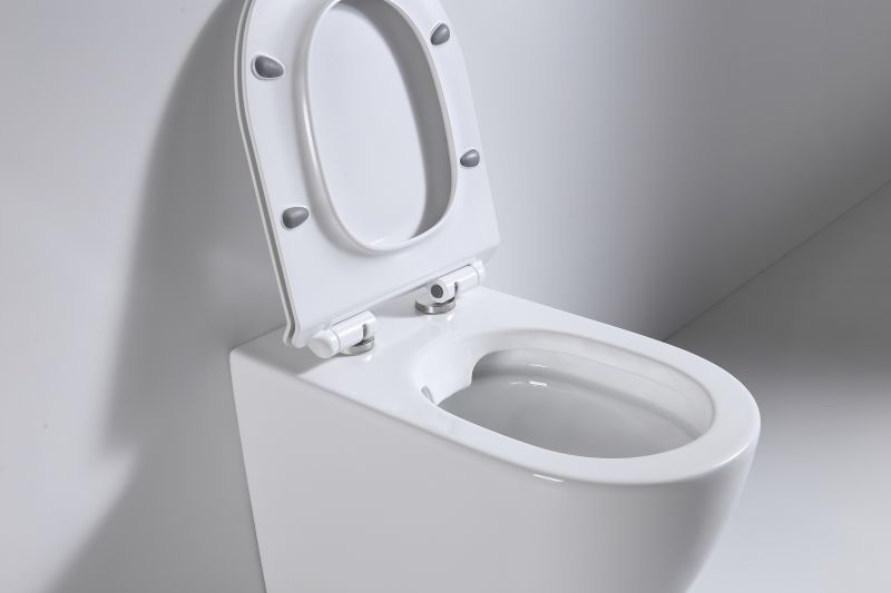 Приставной унитаз beWash Aldo BKFSR001565 с микролифтом фото 4