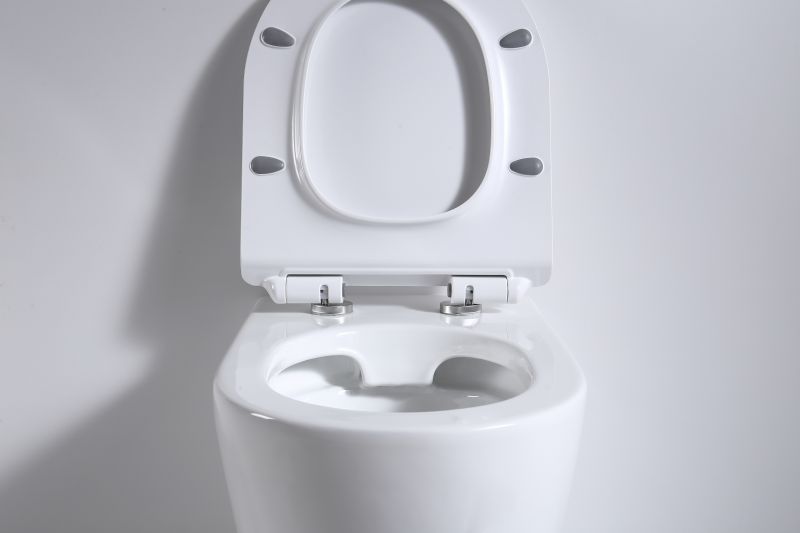 Приставной унитаз beWash Aldo BKFSR001565 с микролифтом фото 5