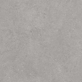 Kerama Marazzi DL600920R Фондамента серый светлый обрезной 60x60x0,9