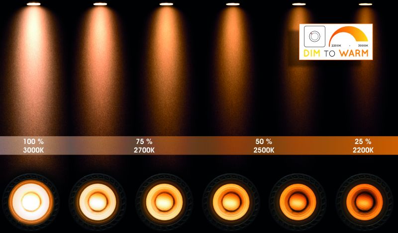 Спот Lucide TALA LED 31931/24/31