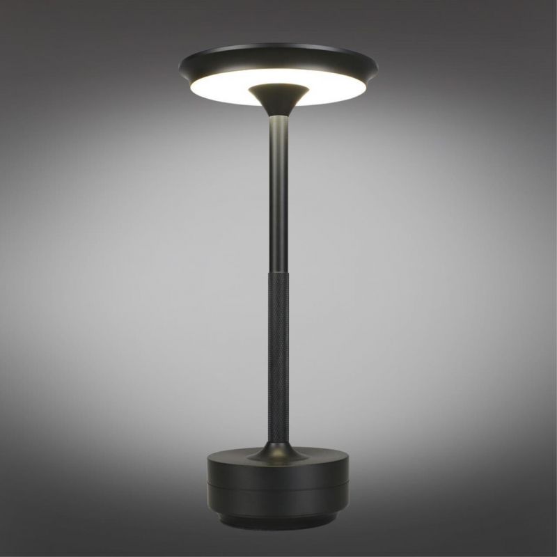 Настольная лампа Aployt Markel LED 3000-6400К(теплый, белый, холодный) 5W APL.064.24.05 фото 2