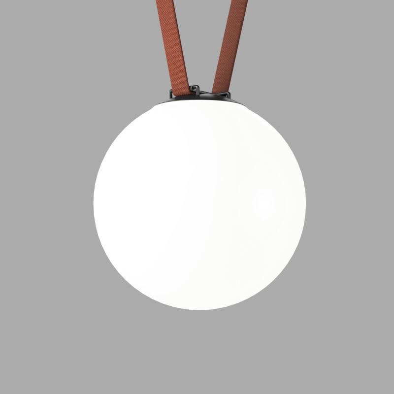Cветильник для трека-ремня Denkirs Orb LED 15W 4000K(белый) черный, акрил DK5554-BK фото 1