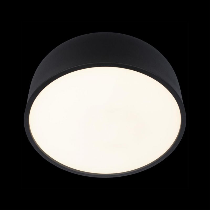 Потолочный светильник Loft It (Light for You) Axel 10201/350 Black фото 4