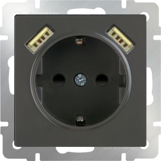 Электрическая розетка с заземлением, шторками и USBх2 Werkel WL07-SKGS-USBx2-IP20