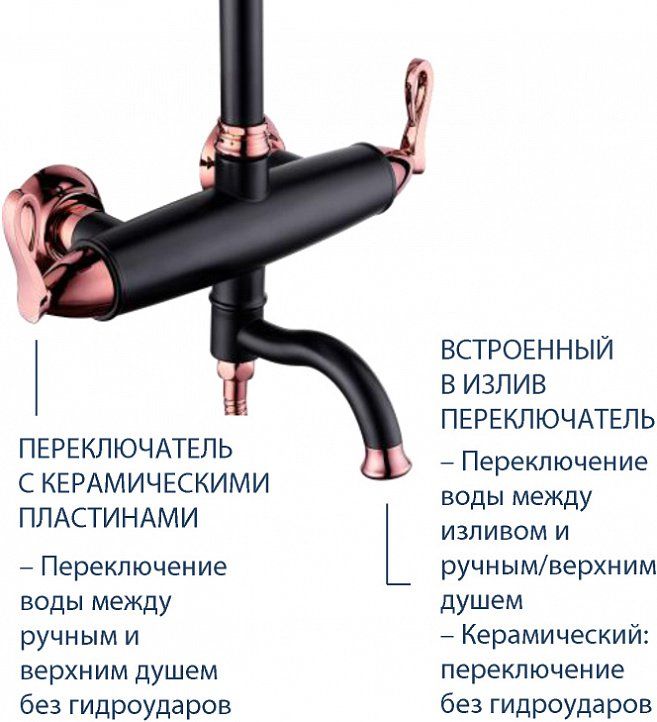 Душевая стойка Lemark Prime LM6162BRG черная/бронза