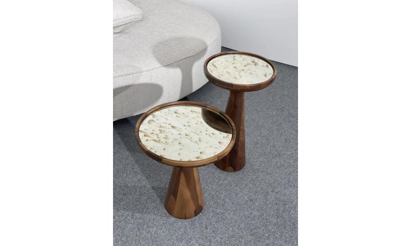 Кофейный столик низкий Homage Wood BD-3004092