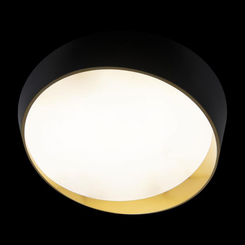 Потолочный светильник Loft It (Light for You) Coin 10199 Black