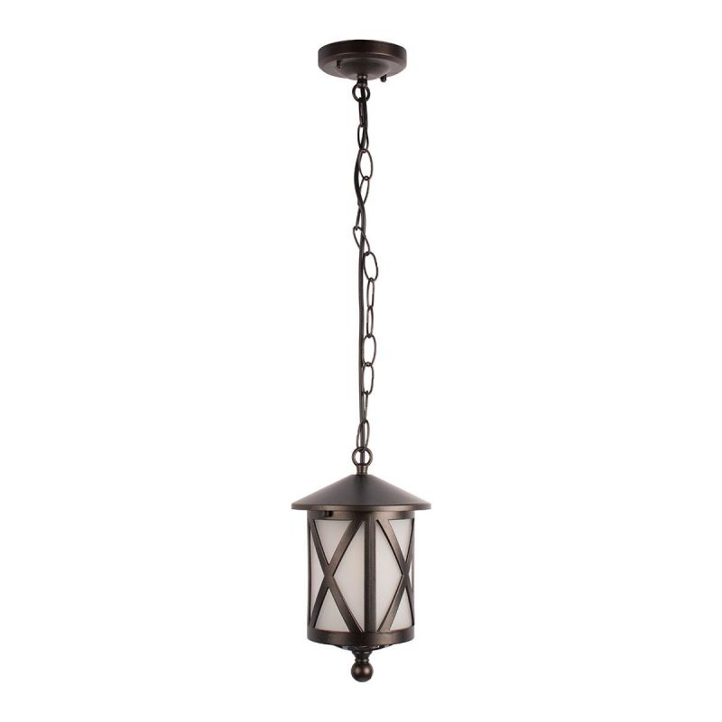 Уличный подвесной светильник LOFT IT Ravenna IP55 100016P фото 1