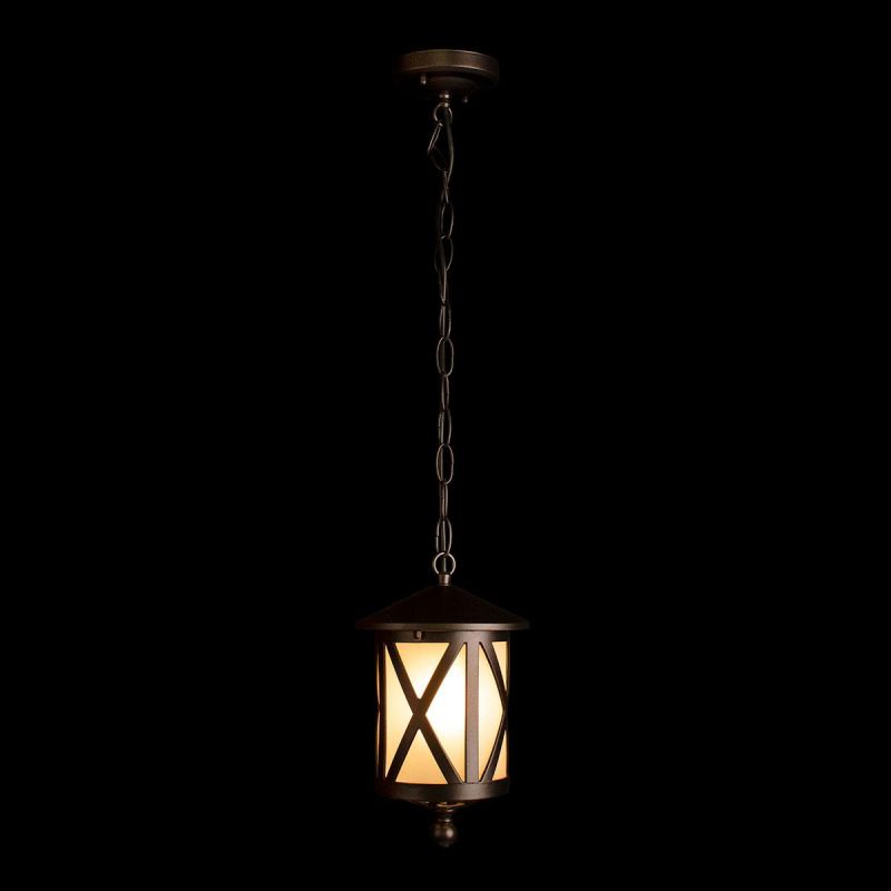 Уличный подвесной светильник LOFT IT Ravenna IP55 100016P фото 2