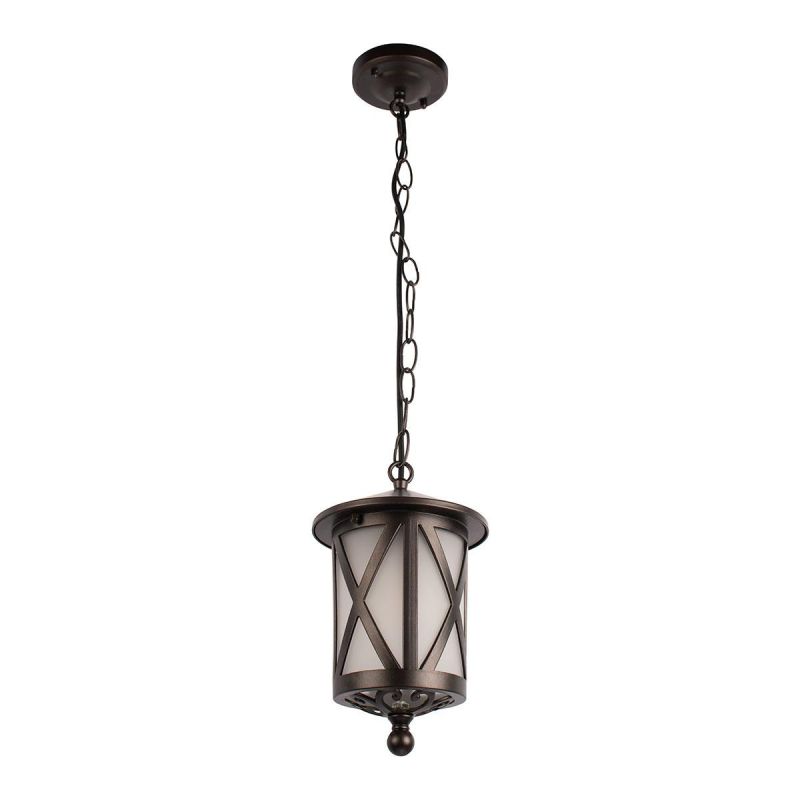 Уличный подвесной светильник LOFT IT Ravenna IP55 100016P фото 3