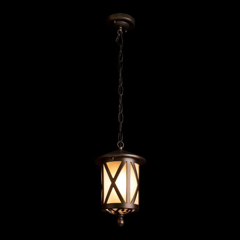 Уличный подвесной светильник LOFT IT Ravenna IP55 100016P фото 4