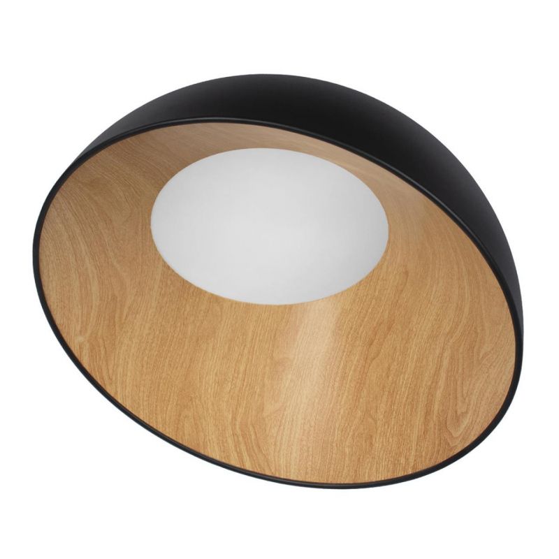 Потолочный светильник Loft It (Light for You) Egg 10197/500 Black