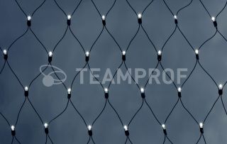 Светодиодная сетка Teamprof  2х2м, статика, черный провод, белая TPF-N2*2-B/W