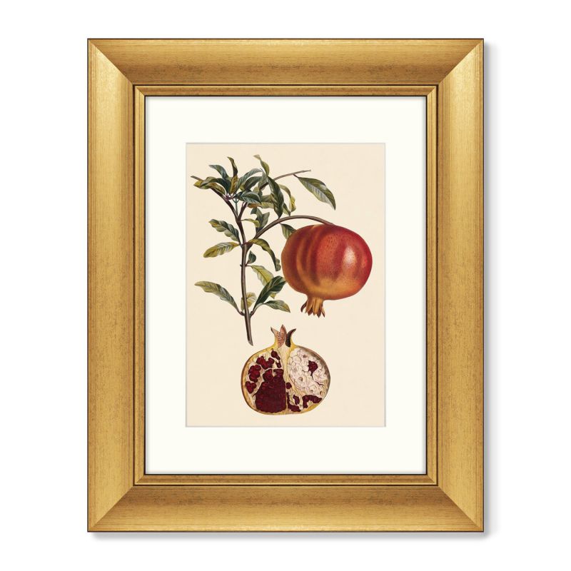 Диптих Juicy fruit lithography №10, 1870г. (из 2-х картин) BD-1763497 фото 3