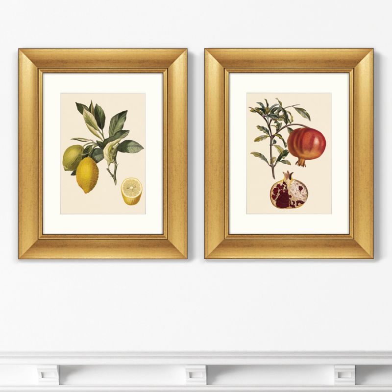 Диптих Juicy fruit lithography №10, 1870г. (из 2-х картин) BD-1763497 фото 1