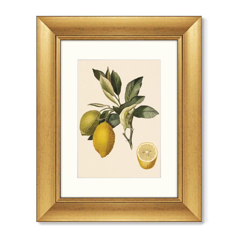 Диптих Juicy fruit lithography №10, 1870г. (из 2-х картин) BD-1763497 фото 2