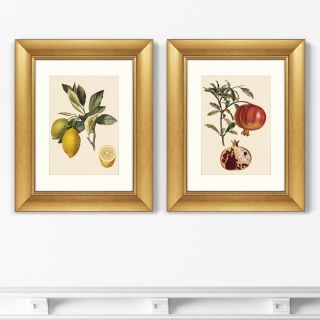 Диптих Juicy fruit lithography №10, 1870г. (из 2-х картин) BD-1763497