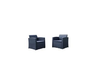 Комплект кресел Royal Family LANA BD-3133146