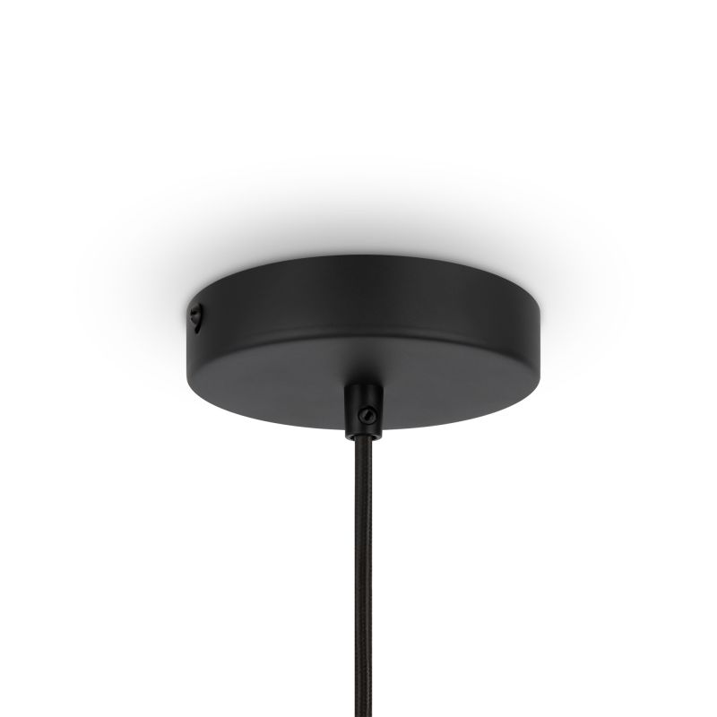 Подвесной светильник Maytoni Roots 220-240V IP20 MOD197PL-01W фото 4