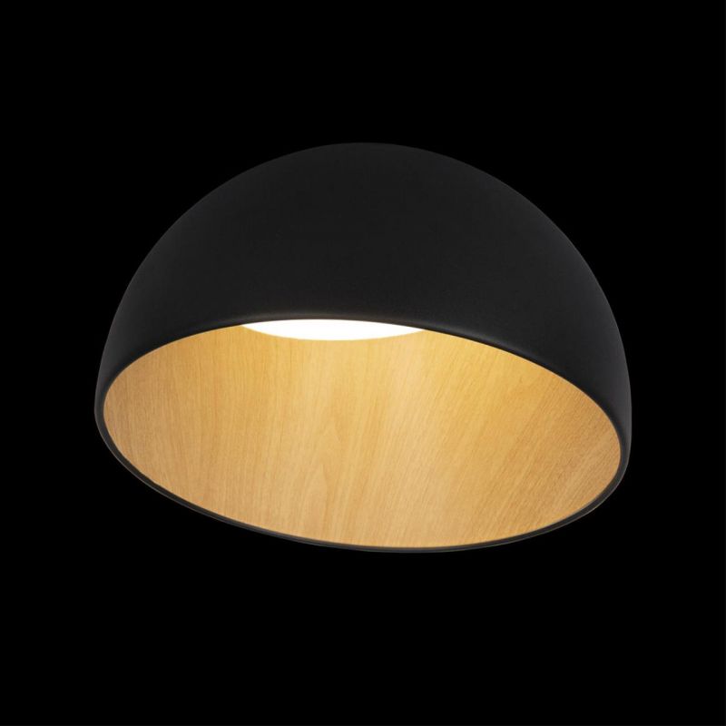 Потолочный светильник Loft It (Light for You) Egg 10197/350 Black