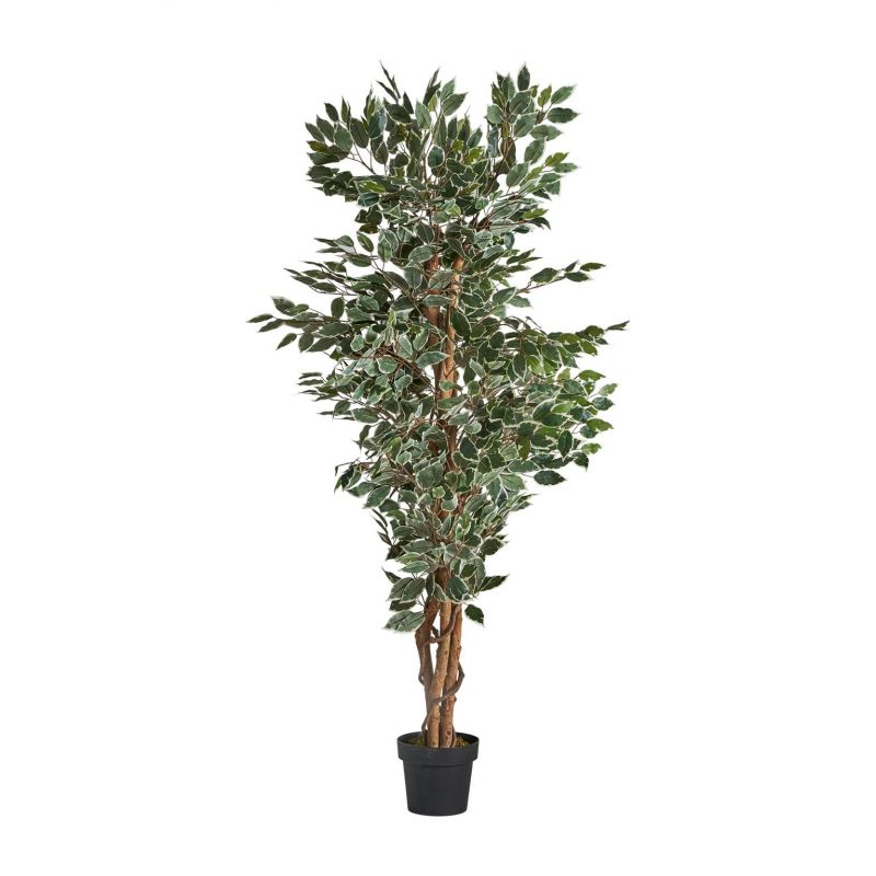 Искусственное растение Vical FICUS зеленое 167353 фото 1