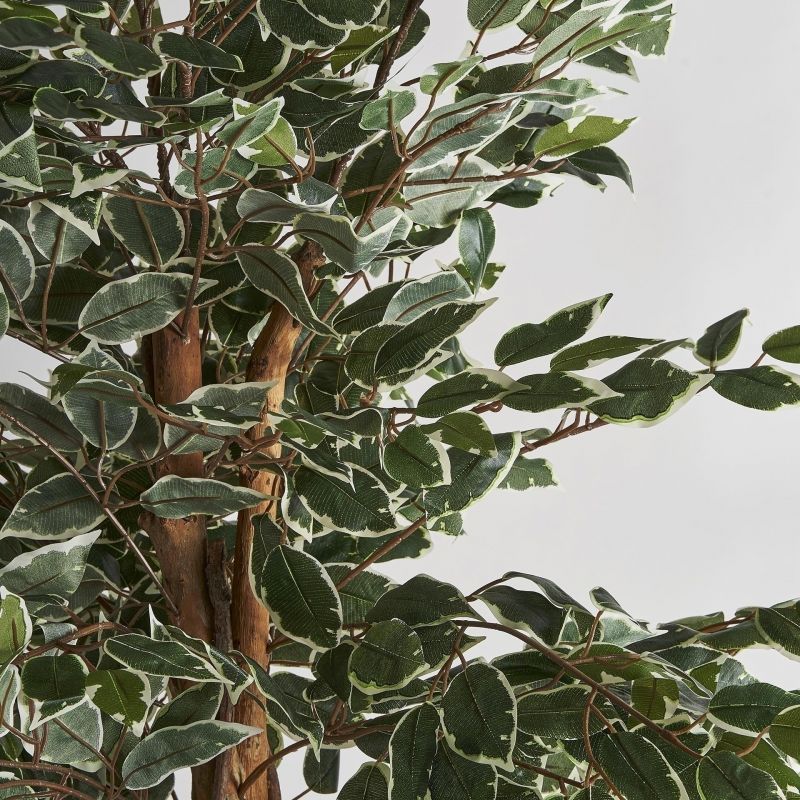 Искусственное растение Vical FICUS зеленое 167353 фото 3