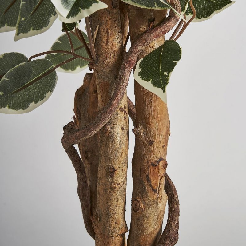 Искусственное растение Vical FICUS зеленое 167353 фото 4