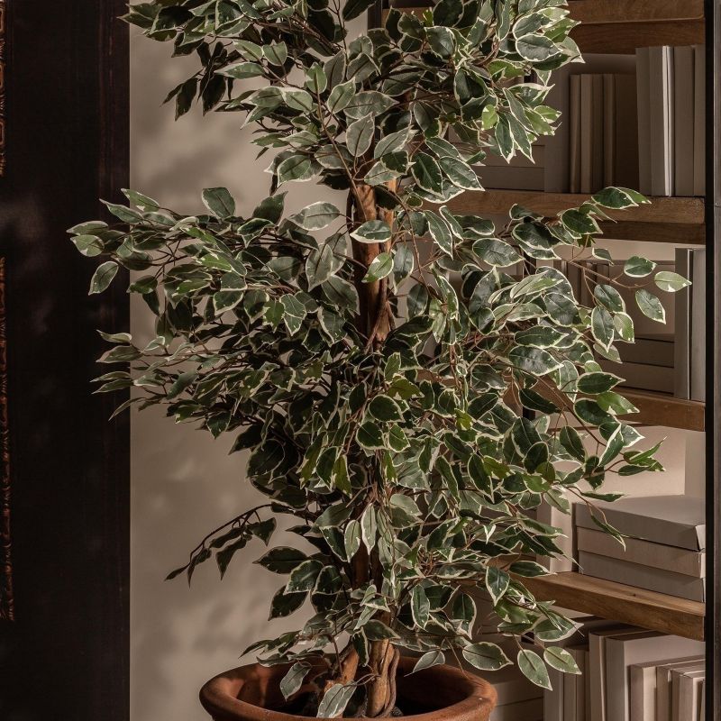 Искусственное растение Vical FICUS зеленое 167353 фото 5