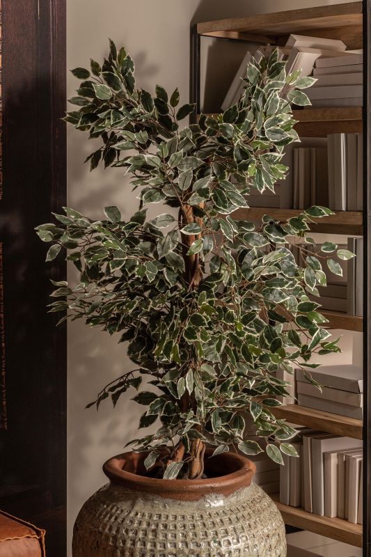 Искусственное растение Vical FICUS зеленое 167353 фото 6
