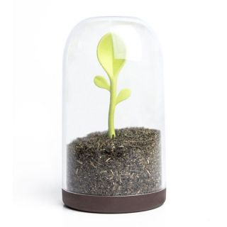 Контейнер для сыпучих продуктов Qualy sprout jar BD-2031908