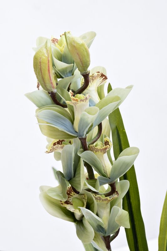 Орхидея искустенная Garda Decor CYMBIDIUM BD-2548828 110 см.