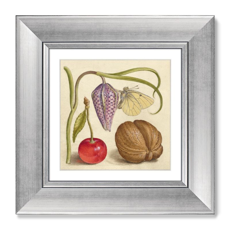 Набор из 2-х репродукций картин в раме English Walnut and Sweet Cherry, 1561г. ArtNoMore BD-2090668 фото 3