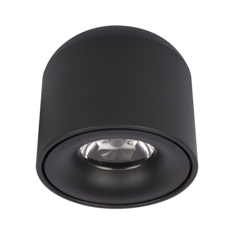 Потолочный светильник Tictac Loft It (Light for You) 10219 Black 4000K