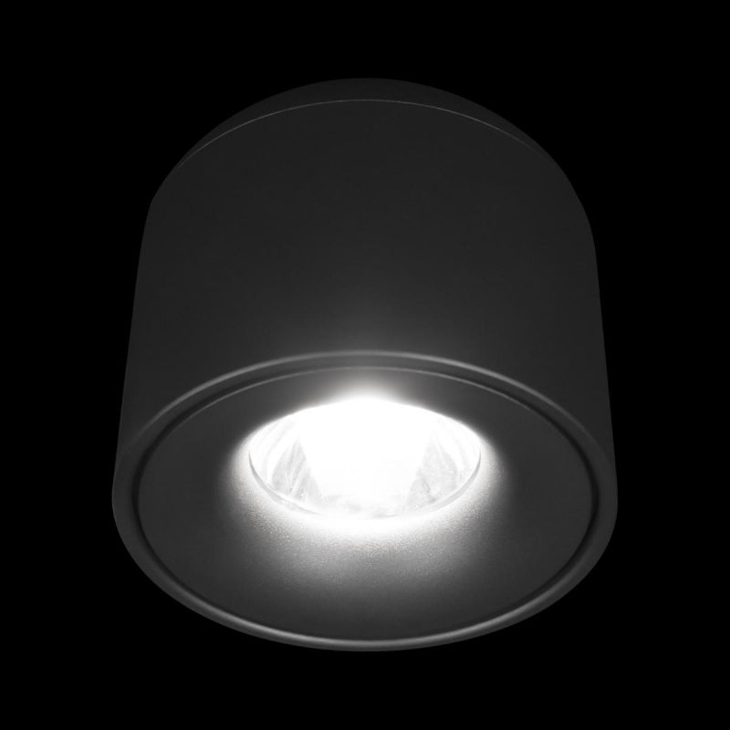 Потолочный светильник Tictac Loft It (Light for You) 10219 Black 4000K